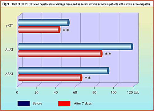 Effects of Siliphos on hepatocellular damage measured as serum enzyme activity in patients with chronic active hepatitis