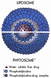 Phytosome Process